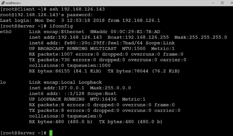 Linux terminal showing a successful server connection