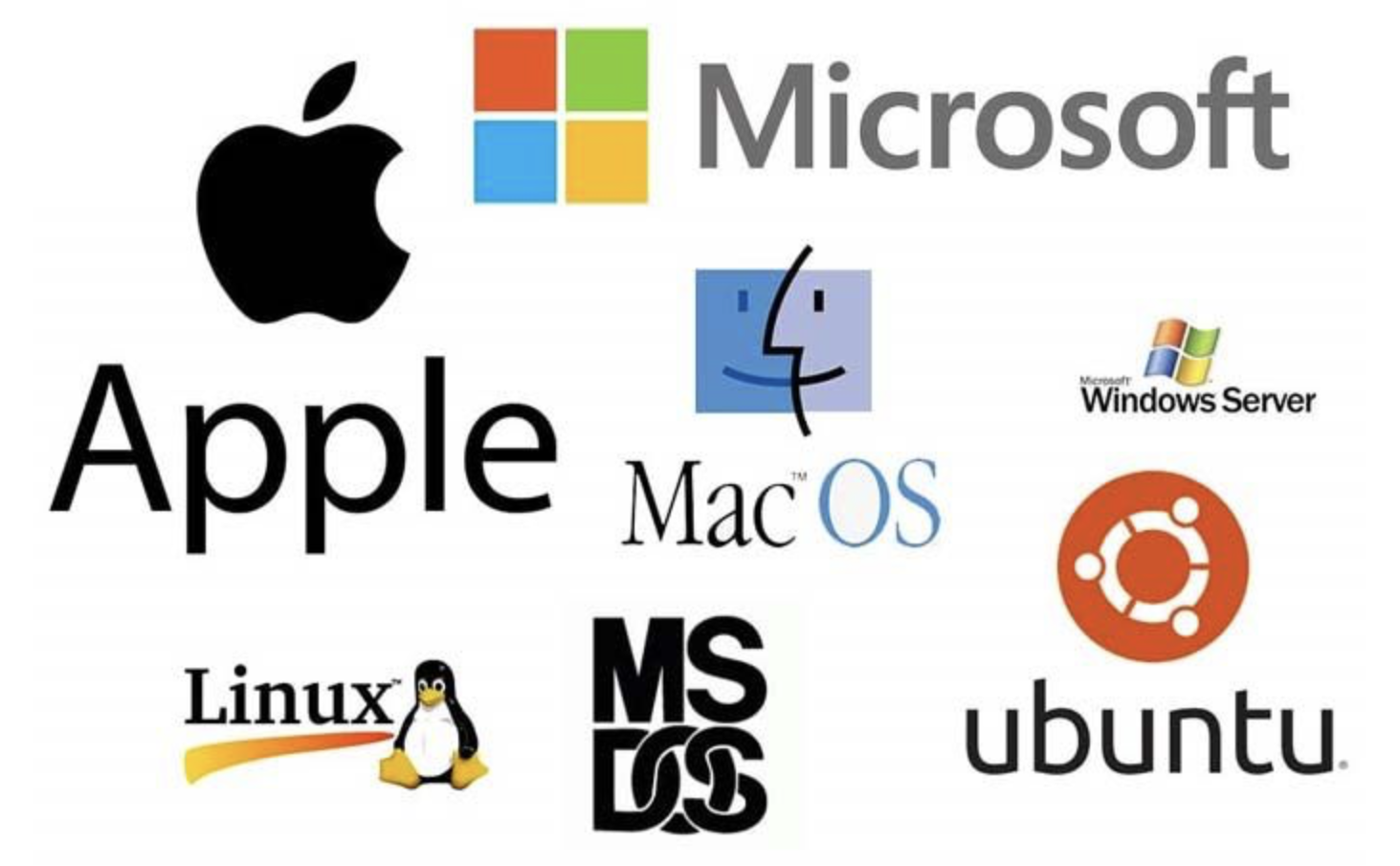 Examples of operating systems: Apple, Linux, MSDOS, Ubuntu, Windows Server, Mac OS, Microsoft.